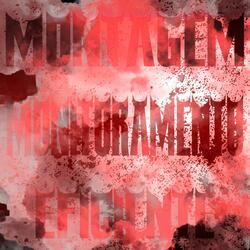 Montagem Monitoramento Eficiente (Slowed)