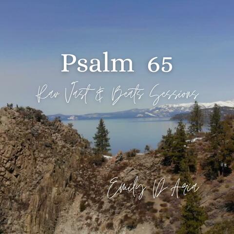 Psalm 65 Rav Vast & Beats Sessions