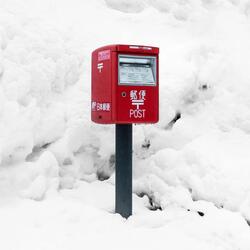 the mind behind the curtain