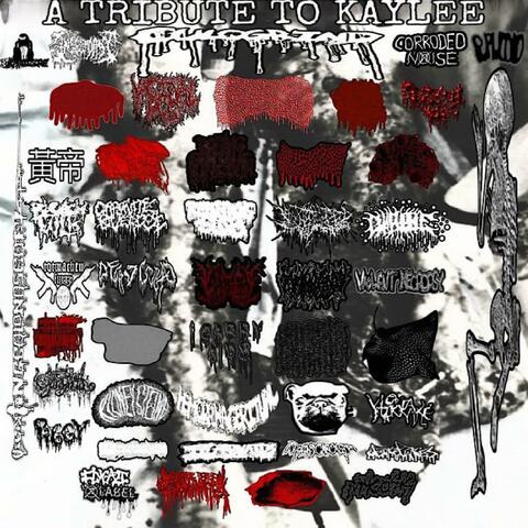 Decomposing Stench Filled Air