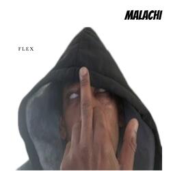 FLEX
