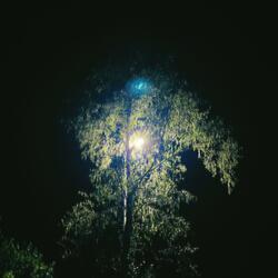 lost