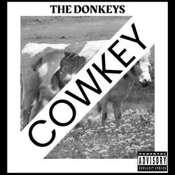 Foxey Donkey (Single Version)