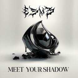 Meet your shadow (original mix)