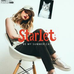 Be My Summer Cat
