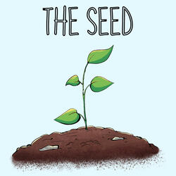 The Seed