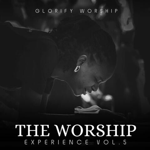 The Worship Experience, Vol. 5