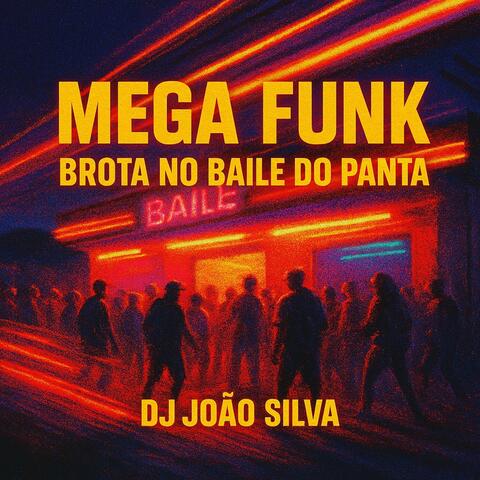 MEGA FUNK BROTA NO BAILE DO PANTA
