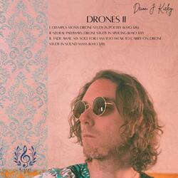 Neural Pathways: V. Drone Study Of Splicing (KMO 127)