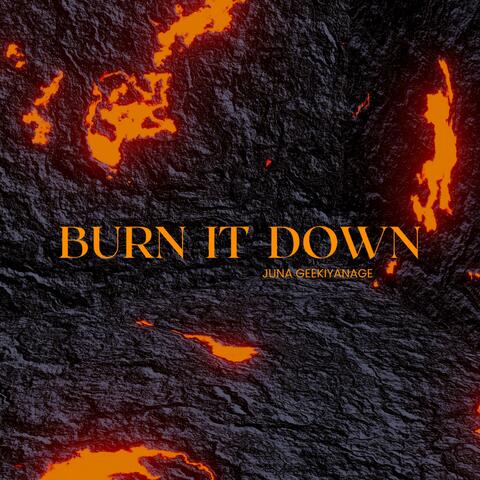 Burn it Down