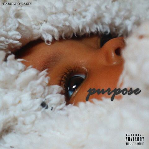 Purpose