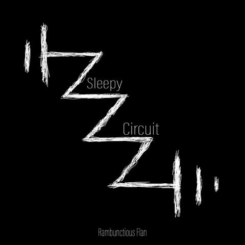 Sleepy Circuit