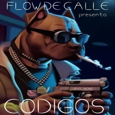 CODIGOS
