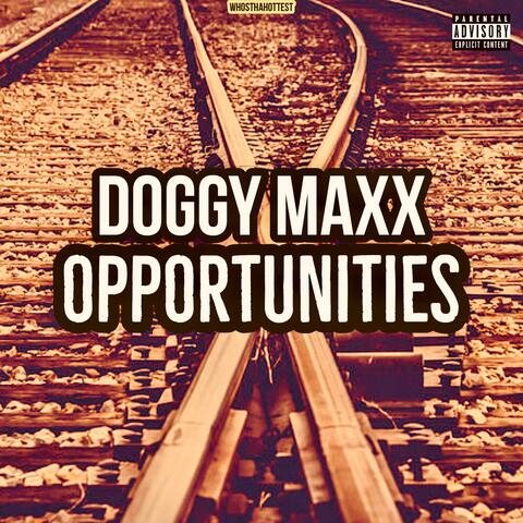 Opportunites