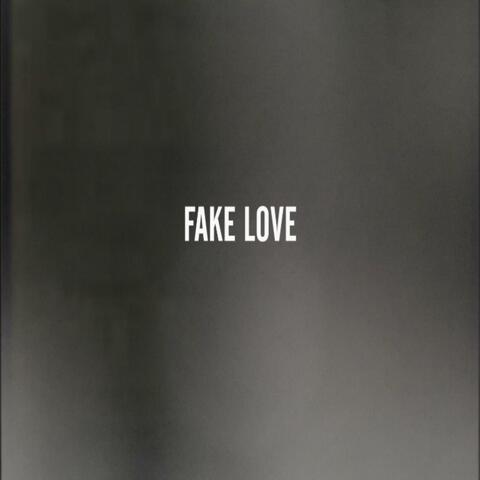 Fake Love