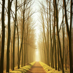 Stories Light The Way
