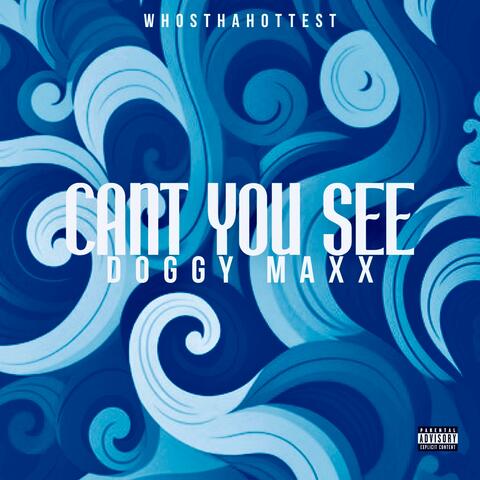 Cant You See