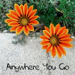 Anywhere You Go