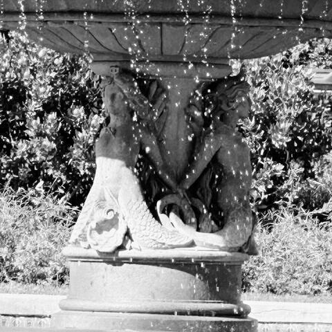 Song to the Siren (A Collection)