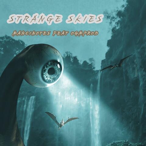 Strange Skies (feat. ogmprod) [Remix]
