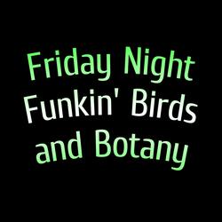 Friday Night Funkin' Birds and Botany: High Effort