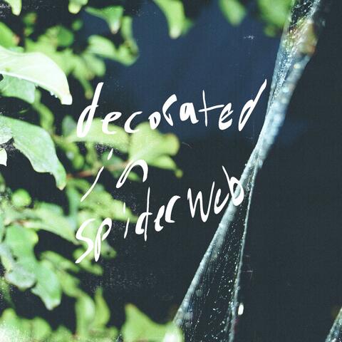 Decorated in spiderweb
