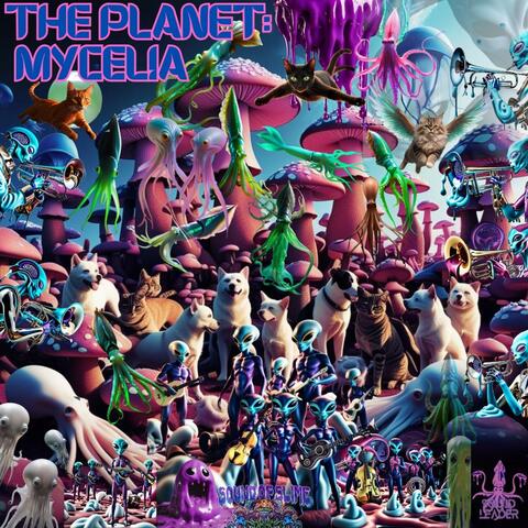 The Planet: Mycelia