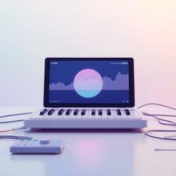 Bubble Wrap Symphony