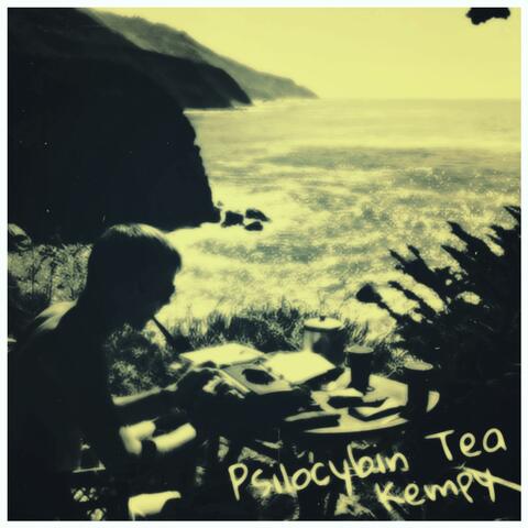 PSILOCYBIN TEA