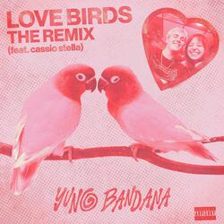 LOVE BIRDS REMIX (feat. Cassio Stella)
