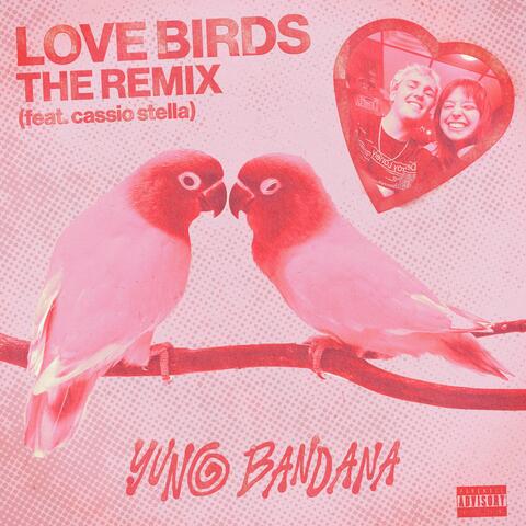 LOVE BIRDS REMIX (feat. Cassio Stella)