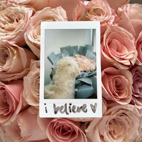 i believe