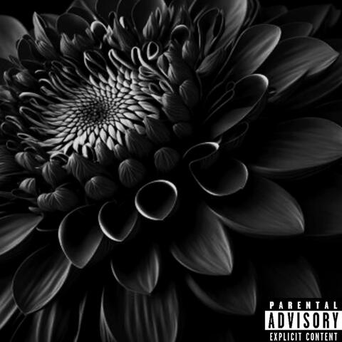 The Black Dahlia Tapes