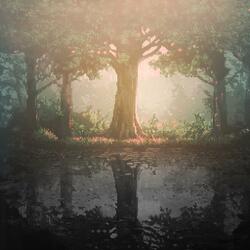 Wonderland