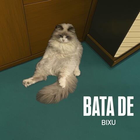 Bata De