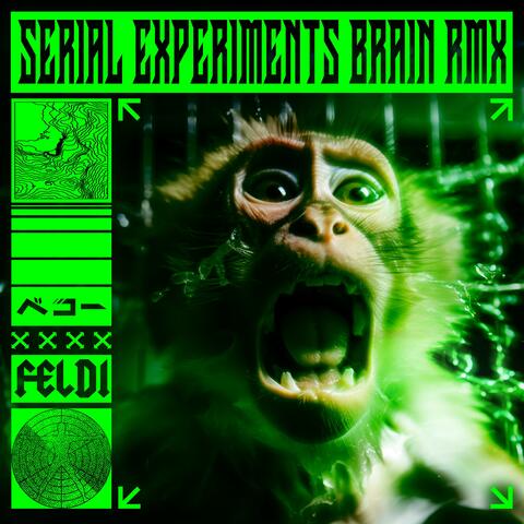 SERIAL EXPERIMENTS BRAIN (feat. FELDI) [RMX]