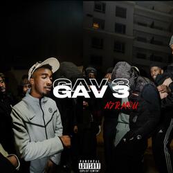 Gav #3