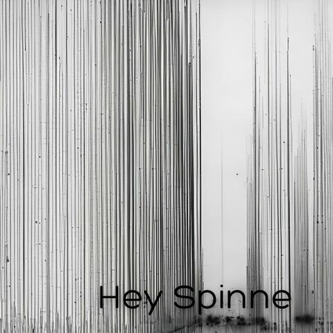 Hey Spinne
