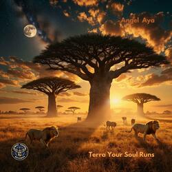 Terra Your Soul Runs (Original Mix)