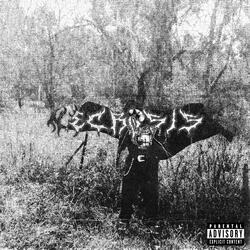 I WALK AMONG THE ROOTS