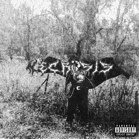 I WALK AMONG THE ROOTS