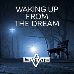 WAKING UP FROM THE DREAM