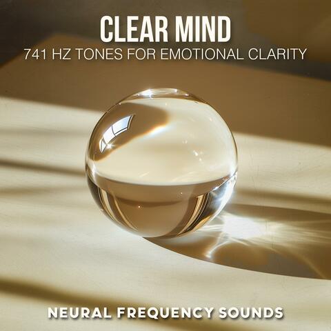 Emotional Clarity & Energy Healing: 741 Hz Meditation