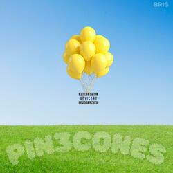 PIN3CONE$