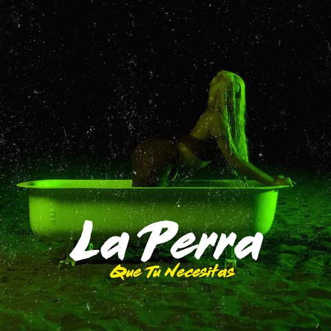 La Perra Que Tu Necesita