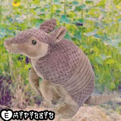 Song that plays when you encounter an armadillo