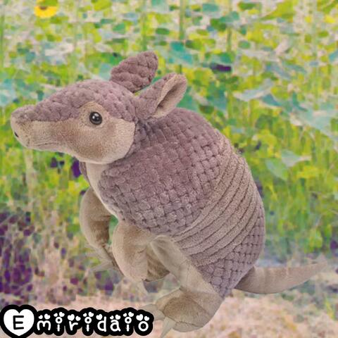 Song that plays when you encounter an armadillo