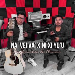 Na Veí Va Xiní xi Yu