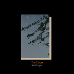 The Moon