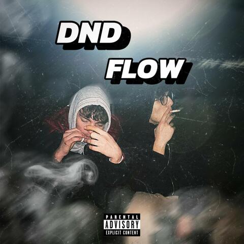 DND Flow (feat. đoro)